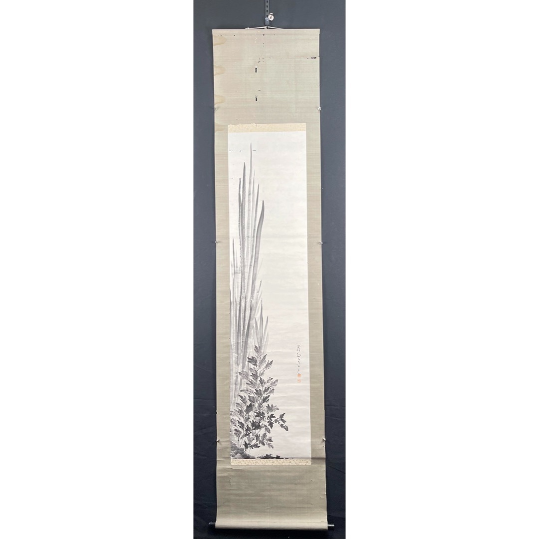 花卉11