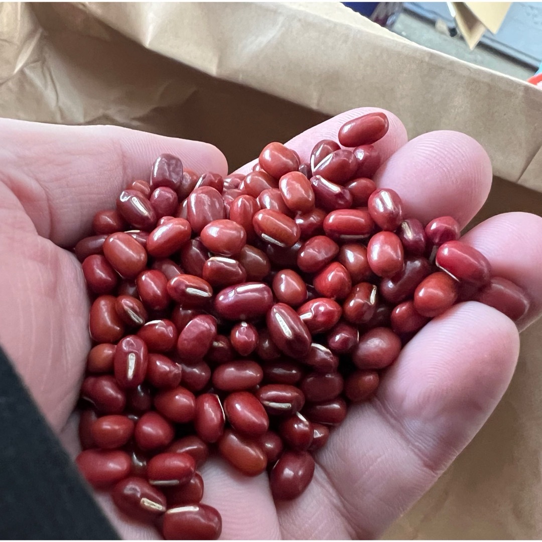 小豆 10kg 小豆 10kg