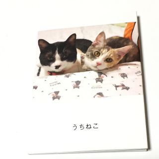 うちねこ  おはな　ピコスケ様専用(その他)