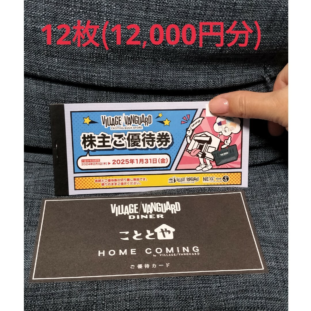 ヴィレッジヴァンガード 株主優待券 12000円分(1000円×12枚 ヴィレッジヴァンガード 株主優待券 12000円分(1000円×12枚
