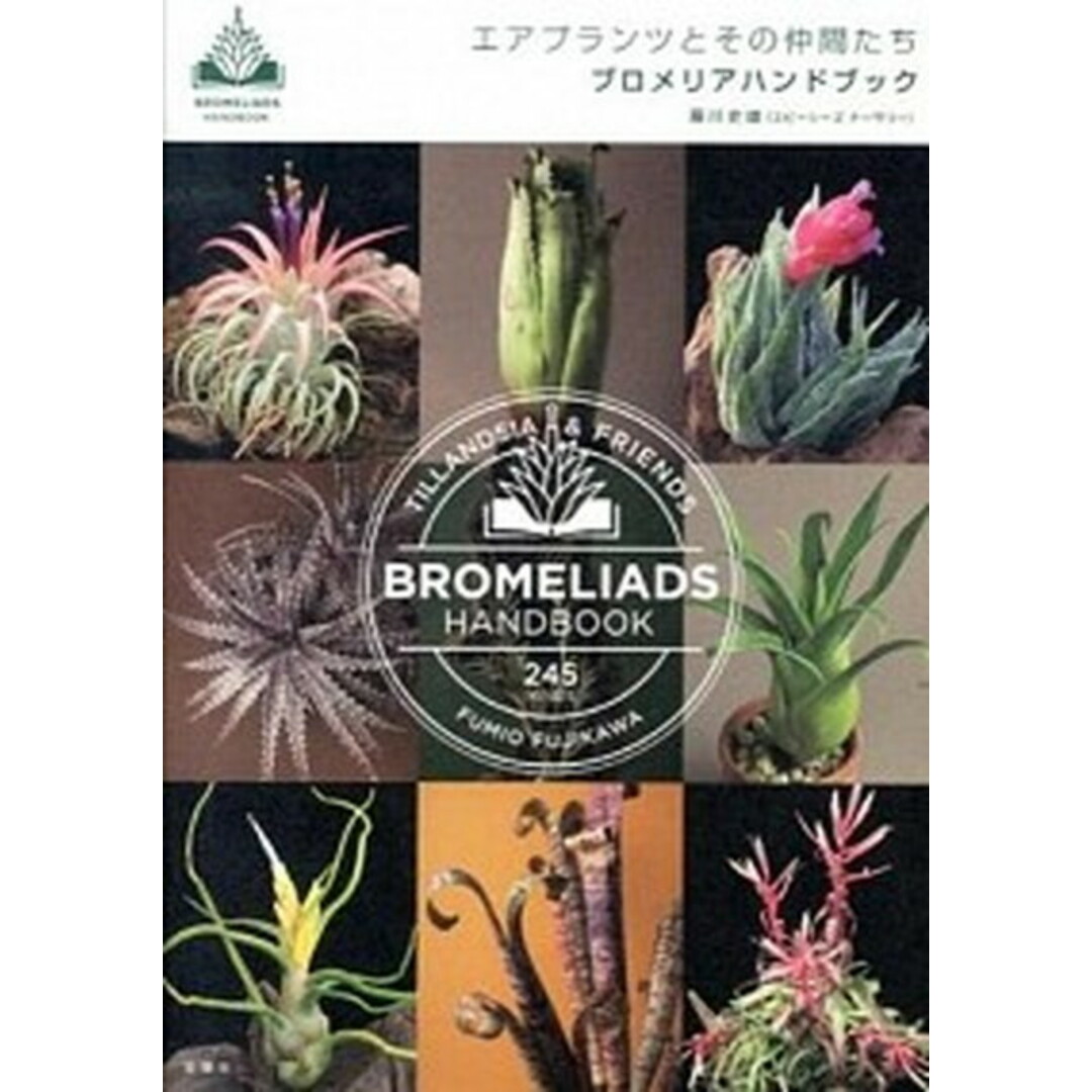 エアプランツとその仲間たちブロメリアハンドブック /双葉社/藤川史雄(単行本(ソフトカバー)) エンタメ/ホビーの本(住まい/暮らし/子育て)の商品写真