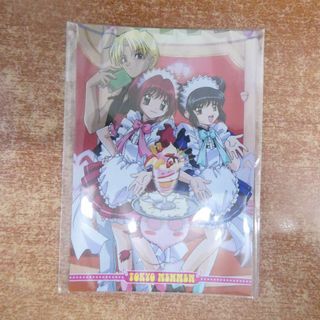 東京ミュウミュウ　ブロマイド　SP(その他)
