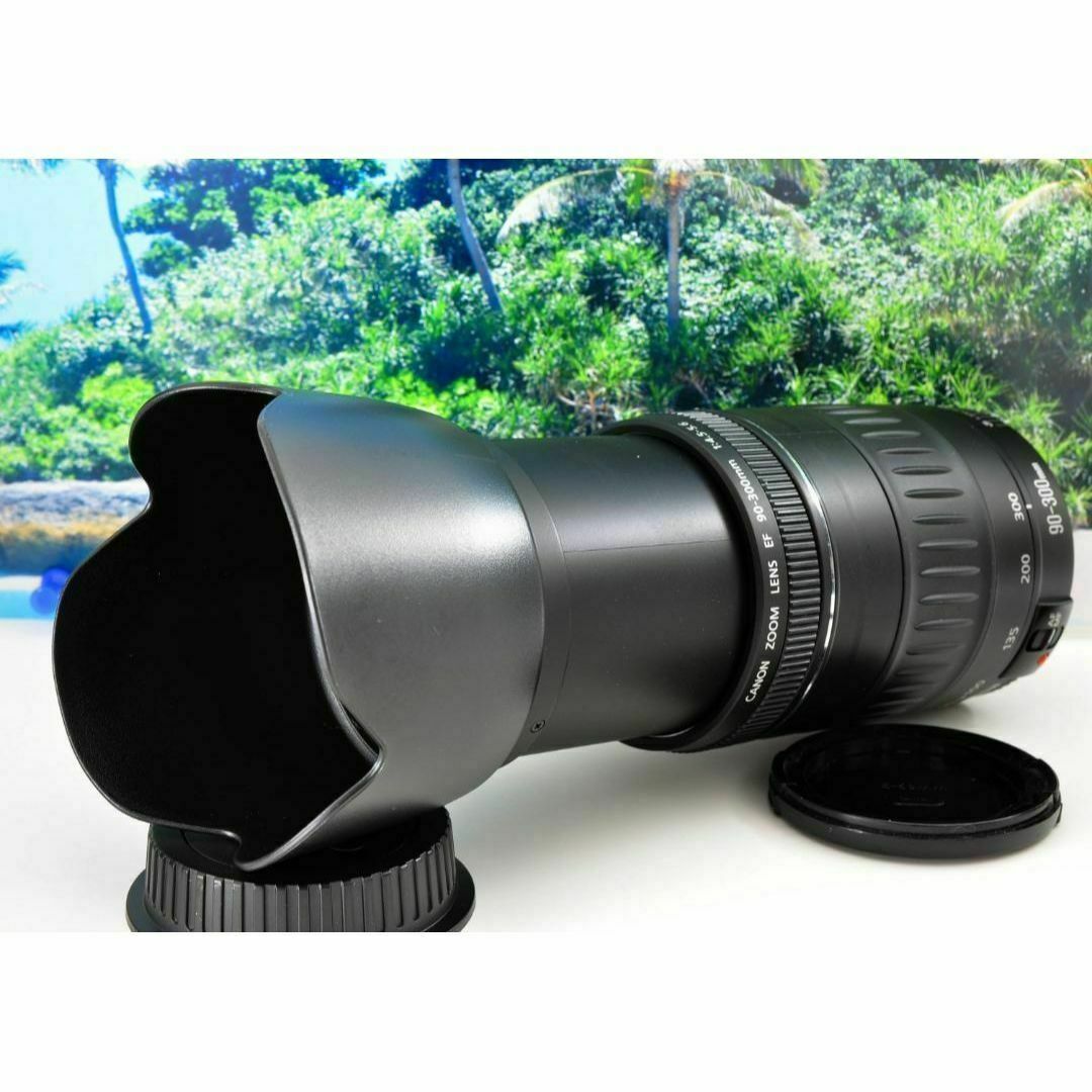 きらめく瞬間を望遠で!Canon キヤノン 望遠レンズ 迫力の90 きらめく瞬間を望遠で!Canon キヤノン 望遠レンズ 迫力の90
