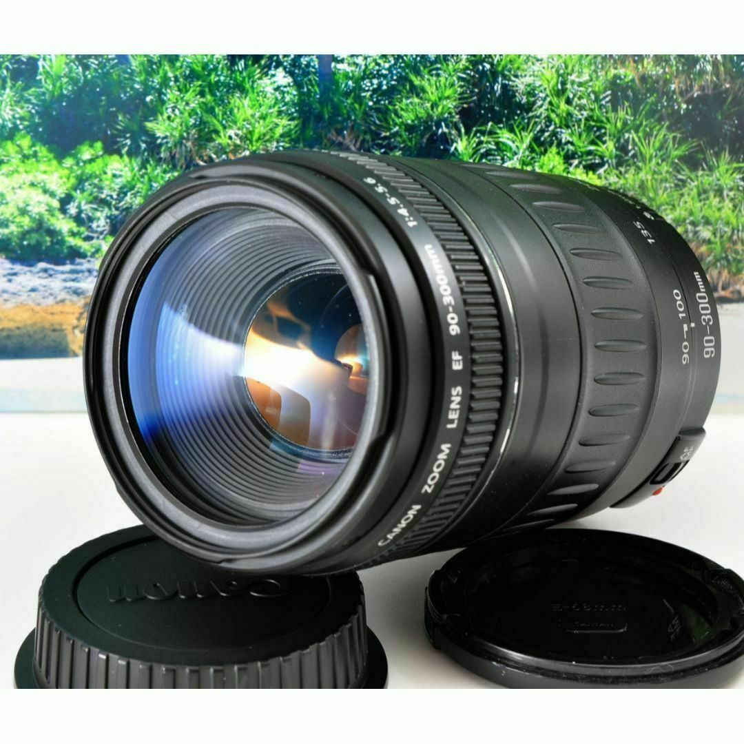 きらめく瞬間を望遠で!Canon キヤノン 望遠レンズ 迫力の90 きらめく瞬間を望遠で!Canon キヤノン 望遠レンズ 迫力の90