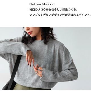 アンティカ(antiqua)のアンティカ　リブ編み　カットソー　グレー　新品タグ付き(カットソー(長袖/七分))