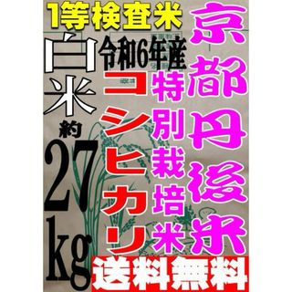 送料無料 一等検査 白米 新米 令和6年産 京都 丹後 コシヒカリ 約27kg(米/穀物)