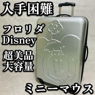 Disney - 新品未使用 希少 ハワイ アウラニディズニー限定 Disney - 新品未使用 希少 ハワイ アウラニディズニー限定