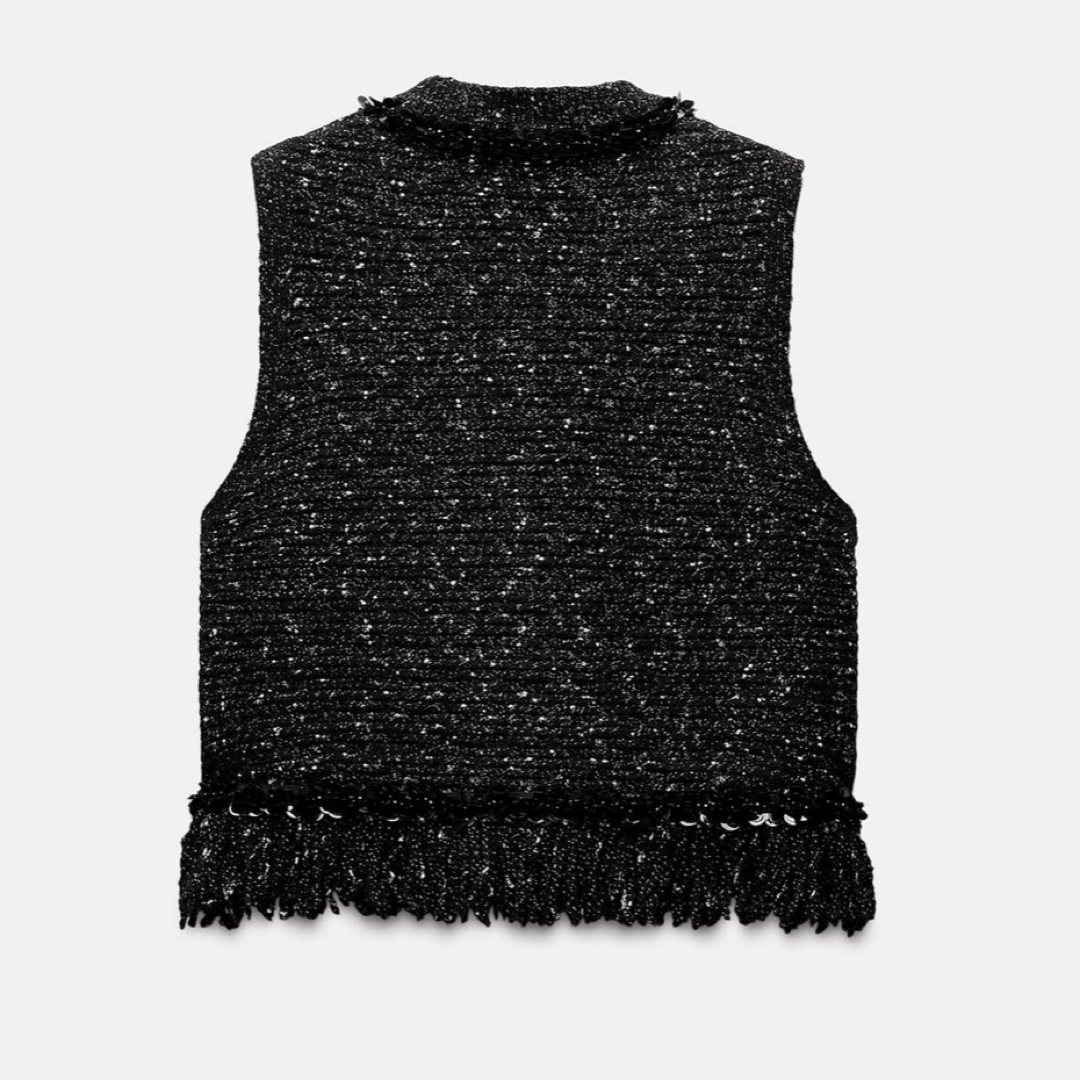ZARA - ZARA 2024AW新作 現行品 フリンジスパンコールニット ZARA - ZARA 2024AW新作 現行品 フリンジスパンコールニット