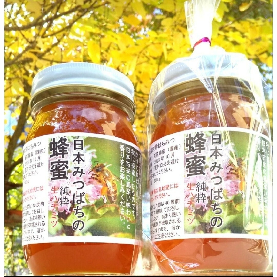 日本蜜蜂 生蜂蜜 ミツバチ 純粋 ニホンみつばち 非加熱 #6 宮城県産 日本蜜蜂 生蜂蜜 ミツバチ 純粋 ニホンみつばち 非加熱 #6 宮城県産
