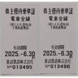 東武鉄道 株主優待乗車証 2枚 2025年6月期限(鉄道乗車券)