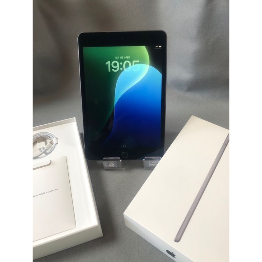 Apple - 美品 国内版 iPad mini 第5世代 7.9インチ 64GB Wi-Fi版