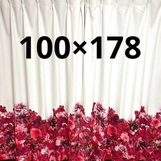 Rady - Rady リゾートフラワーカーテン2枚セット リゾフラ 100 Rady - Rady リゾートフラワーカーテン2枚セット リゾフラ 100