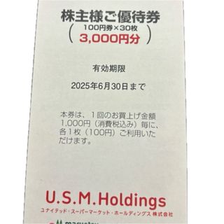 【最新】USMH株主優待3000円分(その他)
