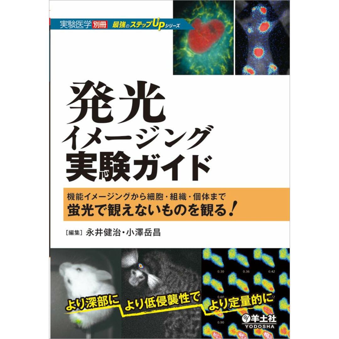 発光イメージング実験ガイド?機能イメージングから細胞・組織・個体まで蛍光で観えないものを観る! (実験医学別冊 最強のステップUPシリーズ) エンタメ/ホビーの本(語学/参考書)の商品写真