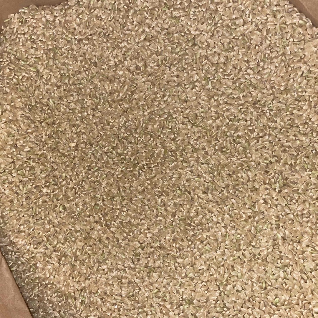 香川県産コシヒカリ6年産 玄米30kg 米/穀物 香川県産コシヒカリ6年産 玄米30kg 米/穀物
