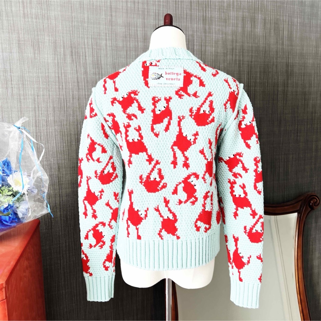 極美品 BOTTEGAVANETA 2024 ボッテガヴェネタ カニ セーター 極美品 BOTTEGAVANETA 2024 ボッテガヴェネタ カニ セーター