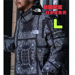 THE NORTH FACE - ノースフェイス L バンダナ ペイズリー THE NORTH FACE - ノースフェイス L バンダナ ペイズリー
