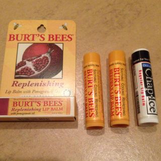 バーツビーズ(BURT'S BEES)のリップ 4本セット♡(その他)