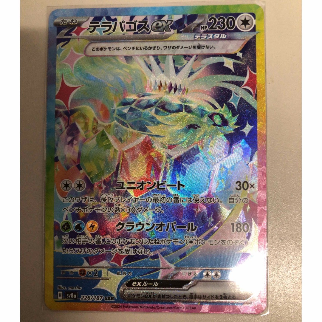 ポケモン - ポケモンカード テラスタルフェス テラパゴスex SAR ポケモン - ポケモンカード テラスタルフェス テラパゴスex SAR