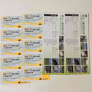 富士急行株主優待　NO1(遊園地/テーマパーク)