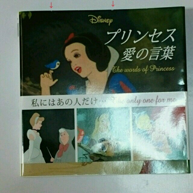 Disney(ディズニー)のプリンセス愛の言葉  本  値下げしました！ エンタメ/ホビーの本(その他)の商品写真