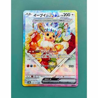 ポケモン(ポケモン)のポケモンカード　テラスタルフェスex イーブイ ex SAR(シングルカード)