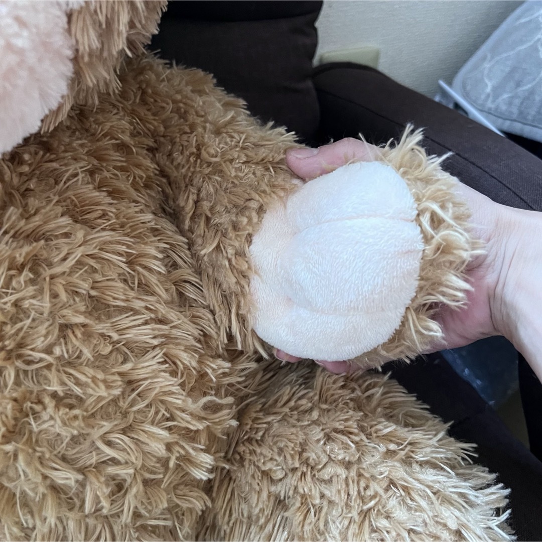 ダッフィー - 美品 ディズニーシー ダッフィー Mサイズ 旧L ダッフィー - 美品 ディズニーシー ダッフィー Mサイズ 旧L