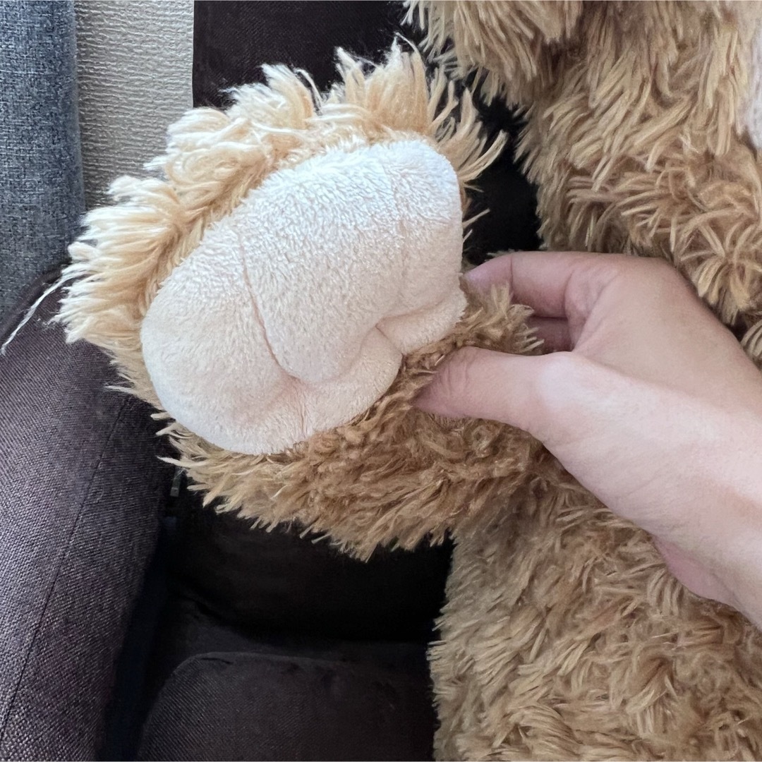 ダッフィー - 美品 ディズニーシー ダッフィー Mサイズ 旧L ダッフィー - 美品 ディズニーシー ダッフィー Mサイズ 旧L