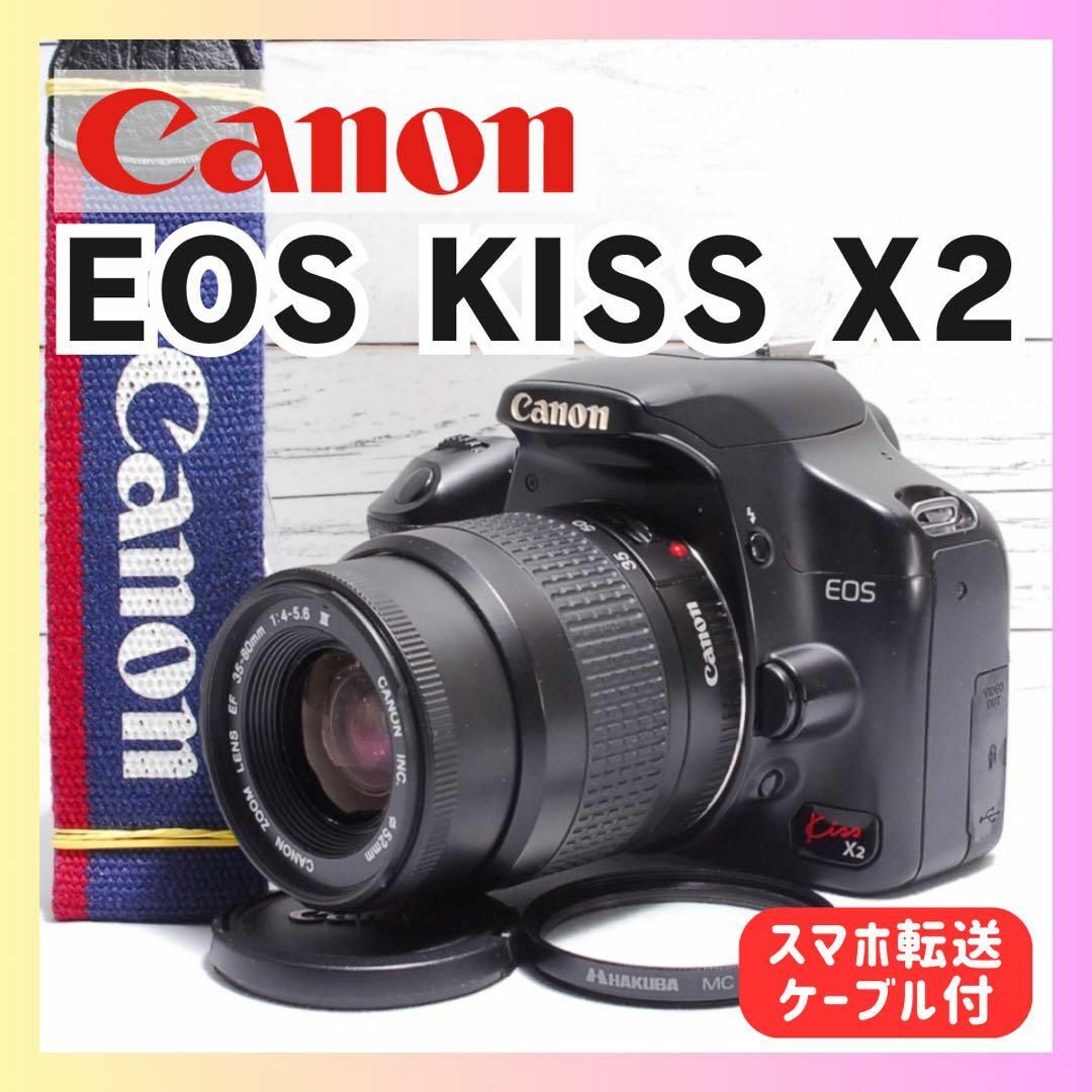 冬の感謝セール 450Saa-T21)ファイブポイントハーネス(艶光沢レッド) (450Saa その他