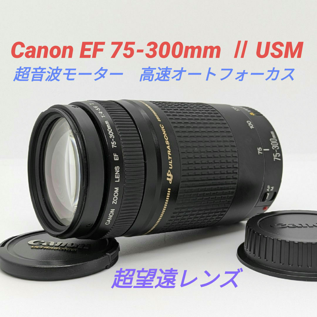 1月18日限定【超望遠レンズ】Canon EF 75-300mm Ⅱ USM 1月18日限定【超望遠レンズ】Canon EF 75-300mm Ⅱ USM