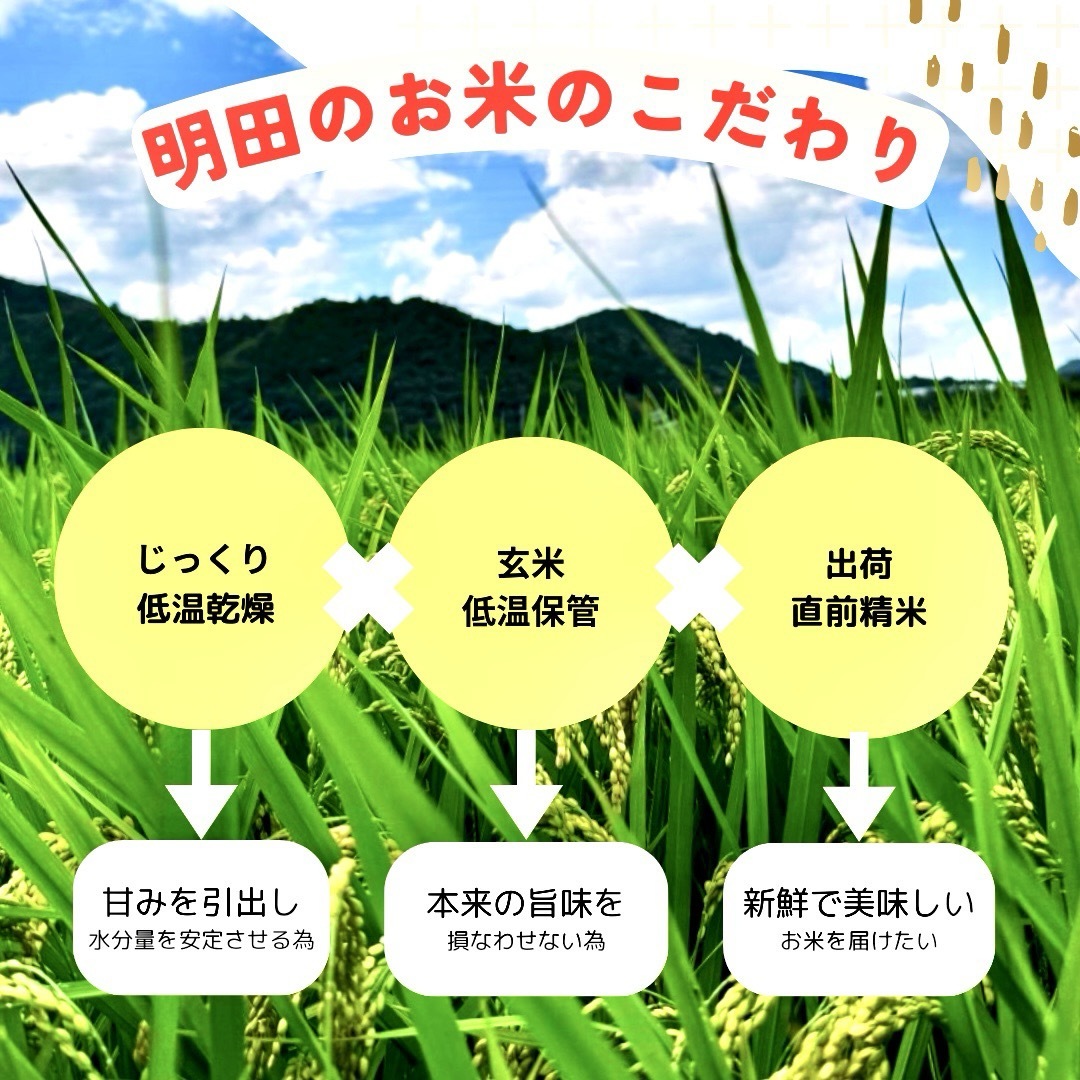 健康志向のあなたの為の玄米」京都府産 令和6年度 キヌヒカリ