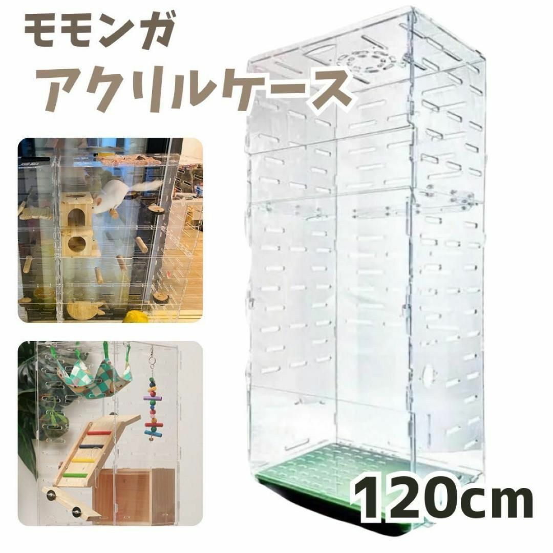 アクリルケージ 小鳥 フクロモモンガ 360度 120cm カスタム付 アクリルケージ 小鳥 フクロモモンガ 360度 120cm カスタム付