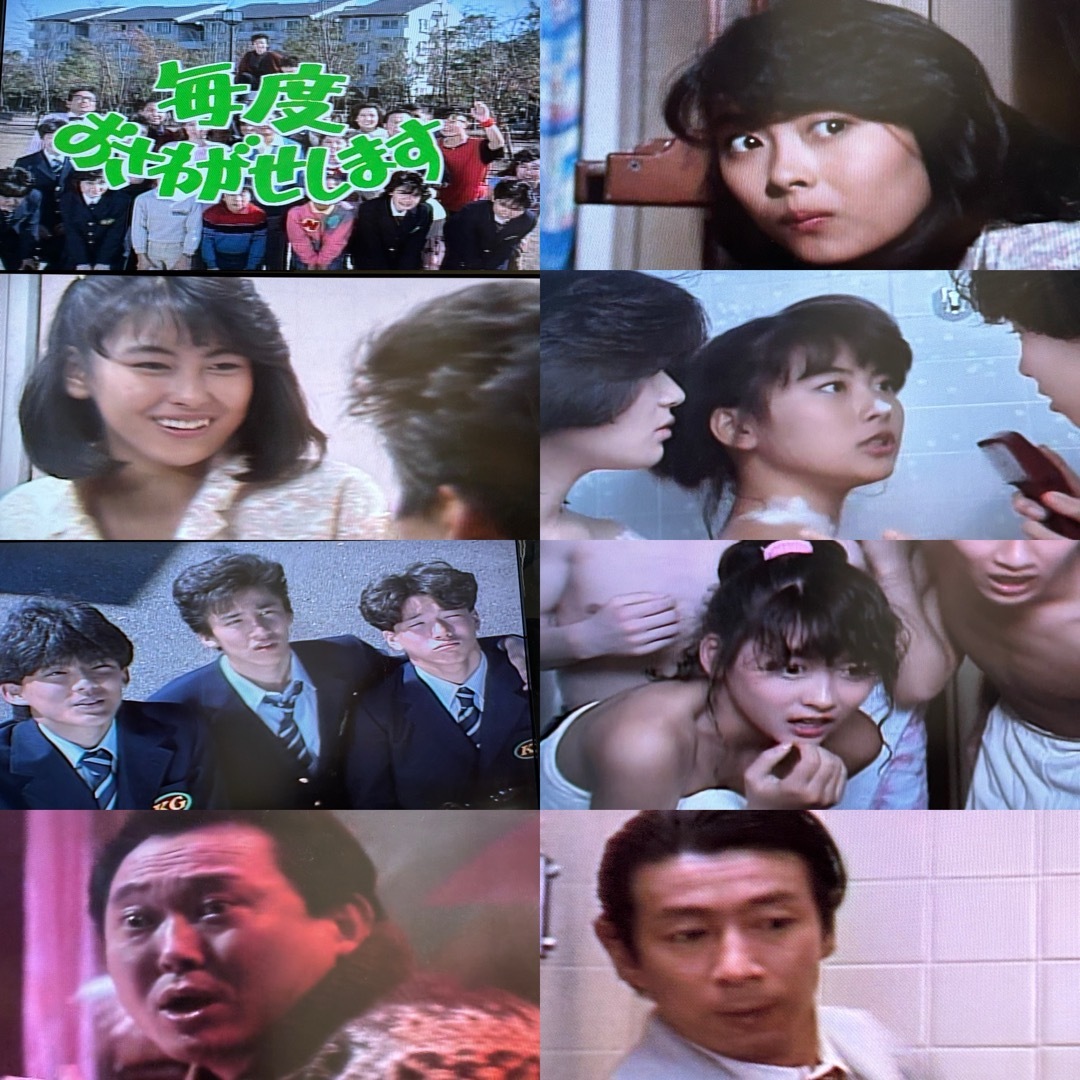 送料無料】毎度おさわがせします DVD全14巻セット 中山美穂 木村一八 送料無料】毎度おさわがせします DVD全14巻セット 中山美穂 木村一八