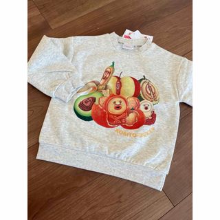 【大人気】 こびとづかん トレーナー バースデイ(Tシャツ/カットソー)