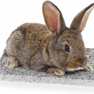 ペット 涼感マット 大理石 天然石 クールボード 厚み1.5cm 小動物 うさぎ(小動物)