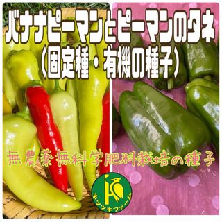 バナナピーマンとピーマンのタネ　各20粒　固定種・無農薬無化学肥料栽培のタネ(野菜)