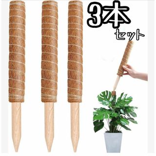 YOUSHY園芸支柱 観葉植物モンステラ 支柱 つる性植物 観葉植物 ココナッツ(その他)