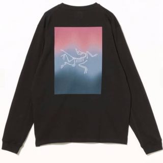 ARC'TERYX(Tシャツ/カットソー(七分/長袖))のフリマアイテム一覧 ARC'TERYX(Tシャツ/カットソー(七分/長袖))のフリマアイテム一覧