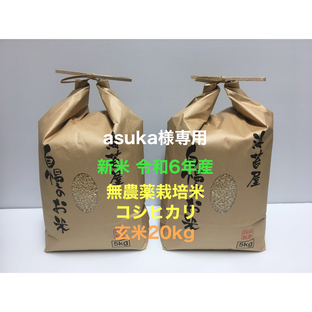 asuka様専用 無農薬コシヒカリ玄米20kg(5kg×4)令和6年産