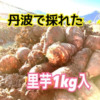 丹波で育てた里芋1kg入‼️(野菜)