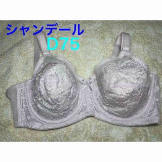 シャンデール ブラのフリマアイテム一覧 シャンデール ブラのフリマアイテム一覧
