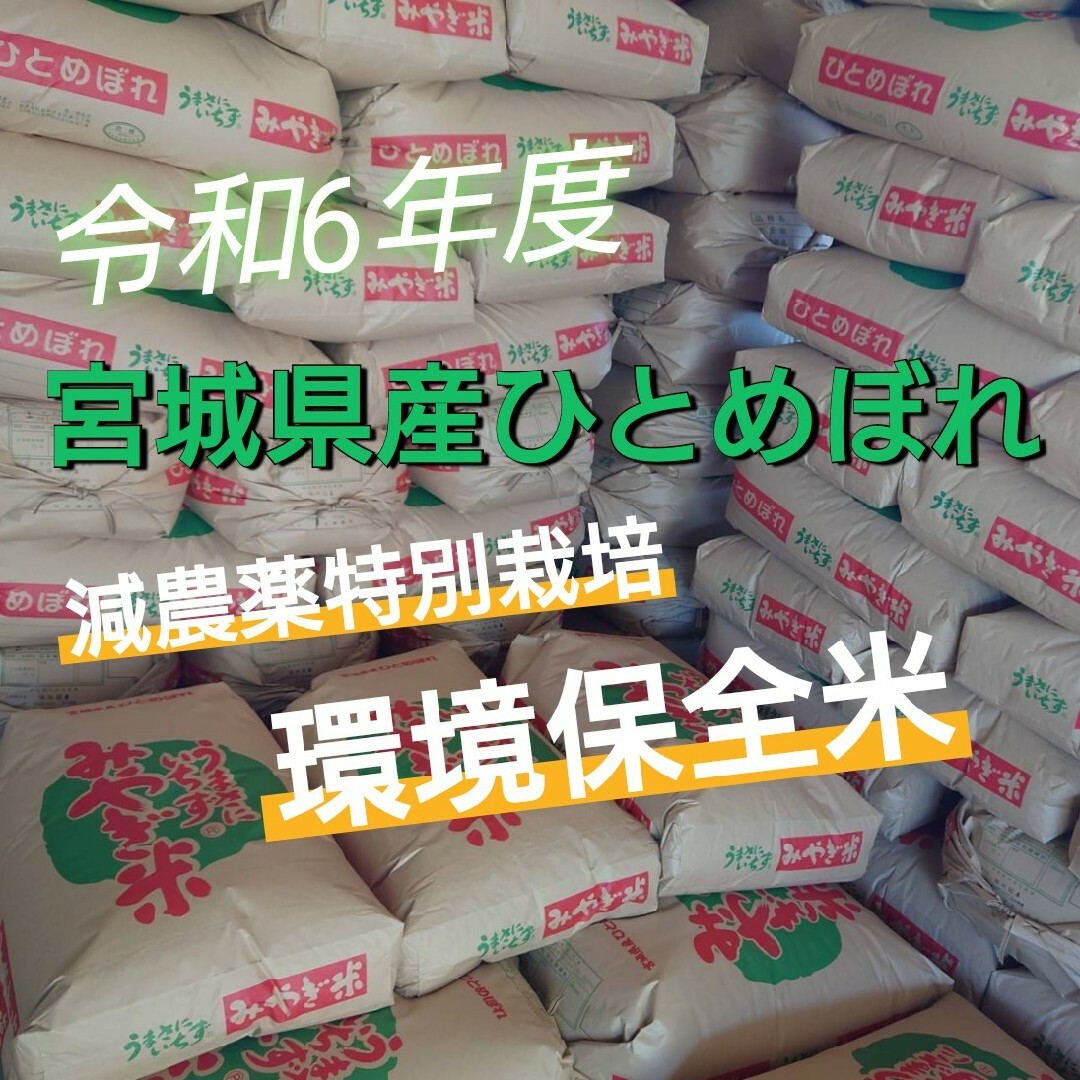 今年最後の玄米20kg【令和6年度 宮城県産ひとめぼれ】環境保全米 今年最後の玄米20kg【令和6年度 宮城県産ひとめぼれ】環境保全米
