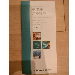 東急不動産　株主優待（500株用）(その他)