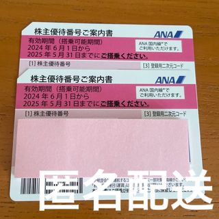 エーエヌエー(ゼンニッポンクウユ)(ANA(全日本空輸))のANA 株主優待券 2枚 送料込(その他)