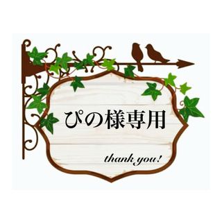 ＊ぴの様専用です＊(各種パーツ)