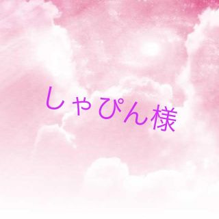 しゃぴん様専用(オーダーメイド)
