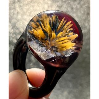 H.P.FRANCE - ダイヤモンドカットスワロフスキー glam rock イヤリング レディガガ愛用の通販 by mei's shop|アッシュペーフランスならラクマ H.P.FRANCE - ダイヤモンドカットスワロフスキー glam rock イヤリング レディガガ愛用の通販 by mei's shop|アッシュペーフランスならラクマ
