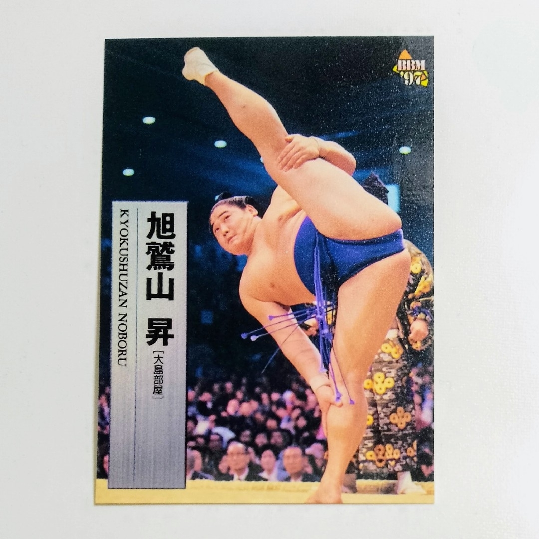 大相撲カード 旭鷲山 1997 相撲 SUMO スポーツ/アウトドアのスポーツ/アウトドア その他(相撲/武道)の商品写真
