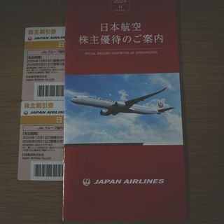 JAL株主優待券2枚セット(航空券)