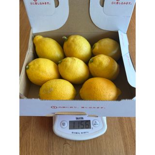 無農薬 国産レモン(ノンワックス)(野菜)